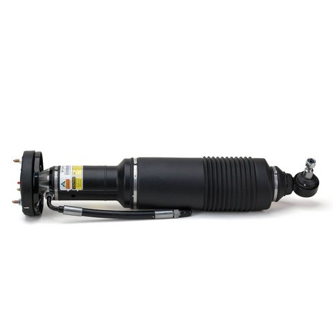 Arnott Industries Suspension Strut SK-2418