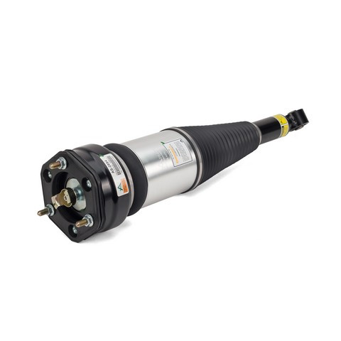 Arnott Industries Air Suspension Strut AS-2894 - view 2