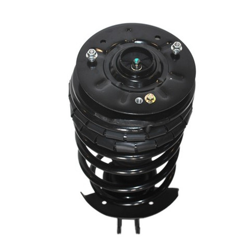 PRT Suspension Strut and Coil Spring Assembly P/N:813205