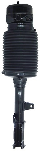 Westar Air Suspension Strut P/N:AS-7389