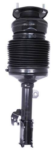 Westar Air Suspension Strut P/N:AS-7387