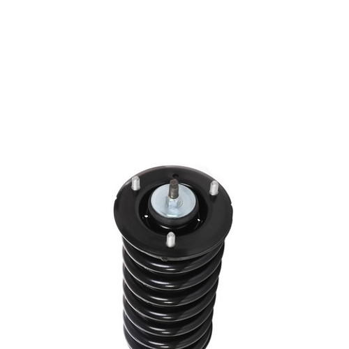 PRT Suspension Strut and Coil Spring Assembly P/N:711193