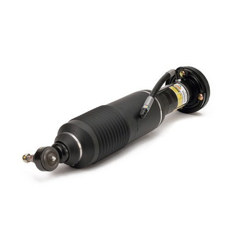 Arnott Industries Suspension Strut P/N:SK-2483
