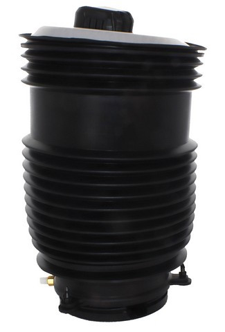 Westar Air Suspension Spring AS-17102 - view 2