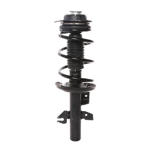 PRT Suspension Strut and Coil Spring Assembly P/N:818604