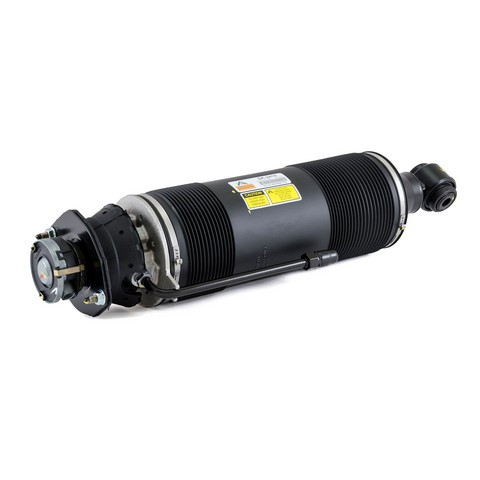 Arnott Industries Suspension Strut SK-2419 - view 3