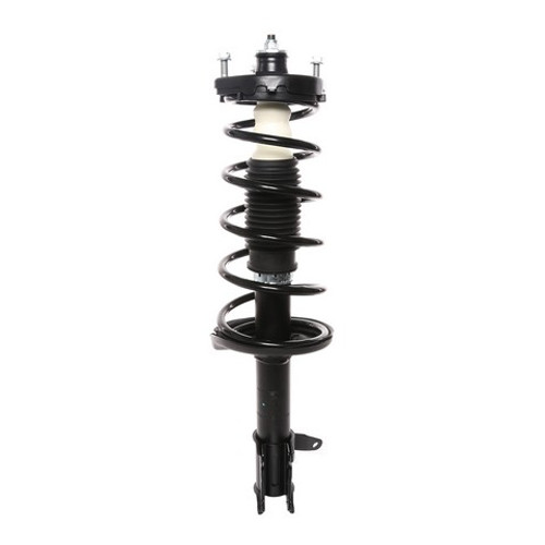 PRT Suspension Strut and Coil Spring Assembly P/N:819586