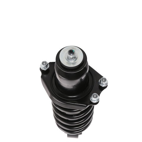 PRT Suspension Strut and Coil Spring Assembly P/N:710374