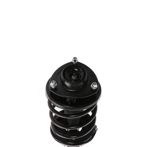 PRT Suspension Strut and Coil Spring Assembly P/N:818940
