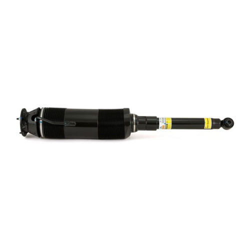 Arnott Industries Suspension Strut P/N:SK-2460