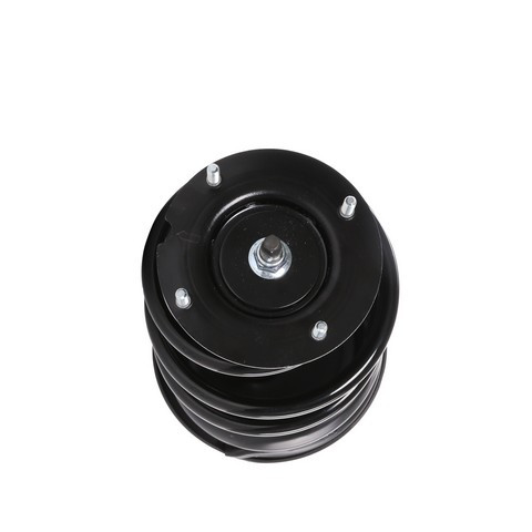 PRT Suspension Strut and Coil Spring Assembly P/N:818202