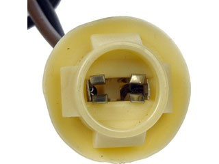 SOCKET GM/FORD LICENSE/S