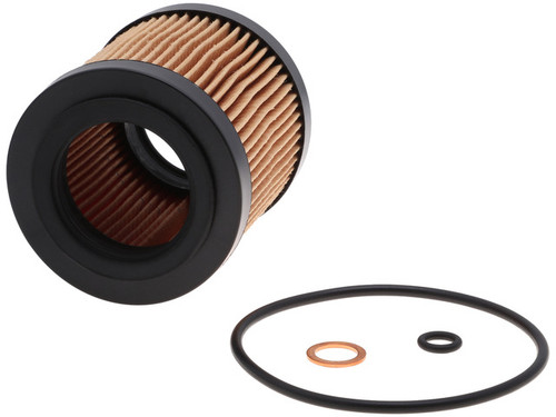 FRAM Engine Oil Filter P/N:CH10075