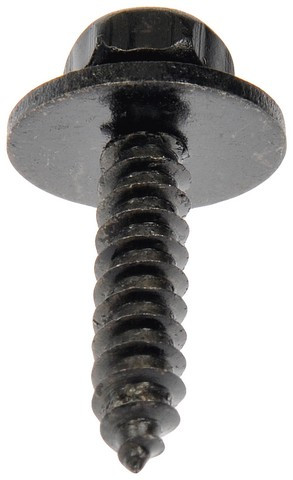 BODY BOLT