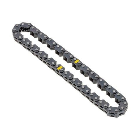 INA US Engine Timing Chain ZC0313