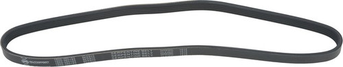 Serpentine Belt-ProTune Autopart Intl 1602-360193