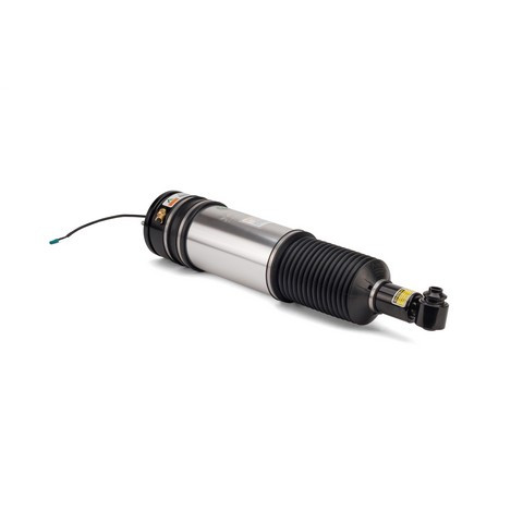 Arnott Industries Air Suspension Strut AS-2978 - view 2