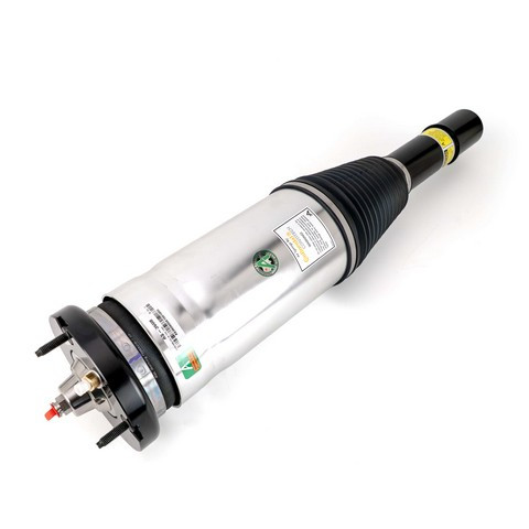 Arnott Industries Air Suspension Strut AS-3608 - view 5