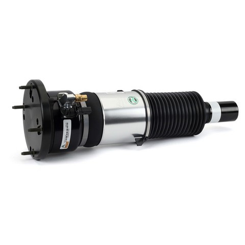 Arnott Industries Air Suspension Strut P/N:ASE-3820