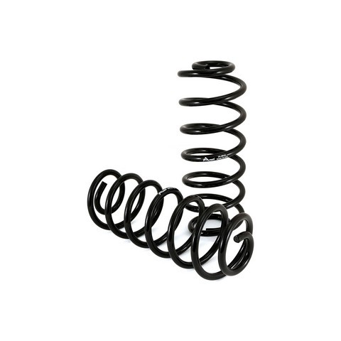 Arnott Industries Air Spring to Coil Spring Conversion Kit C-2137 - view 2