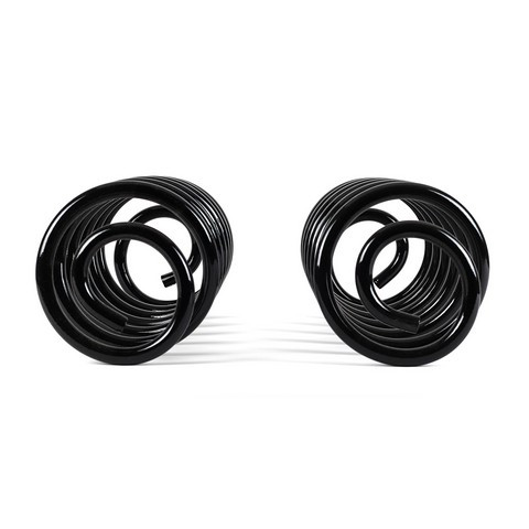 Arnott Industries Air Spring to Coil Spring Conversion Kit C-2137 - view 4