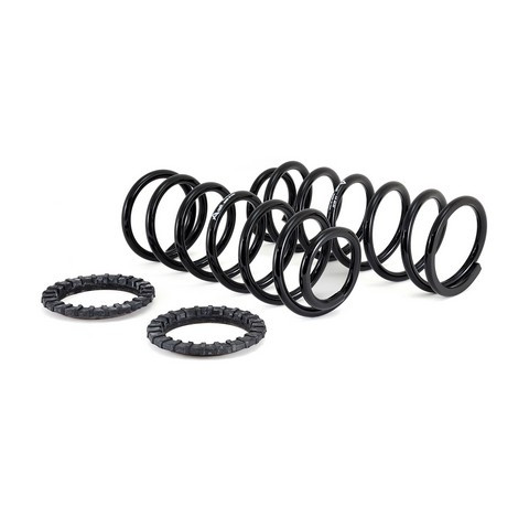 Arnott Industries Air Spring to Coil Spring Conversion Kit P/N:C-2410