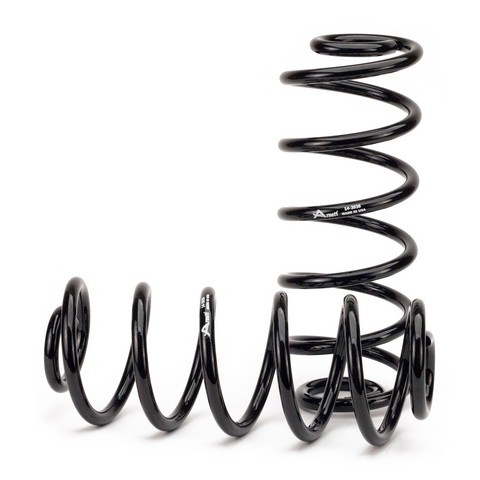 Arnott Industries Air Spring to Coil Spring Conversion Kit C-2666 - view 2