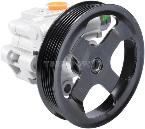 TERREPOWER formerly BBB Industries Power Steering Pump N990-0667 - view 2