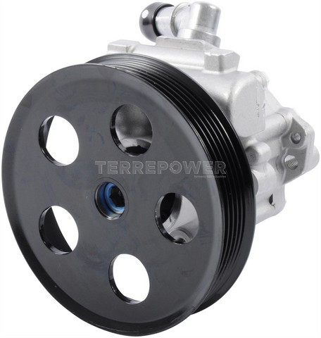 TERREPOWER formerly BBB Industries Power Steering Pump N990-1001