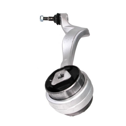 Rein Suspension Control Arm P/N:SCA0242P