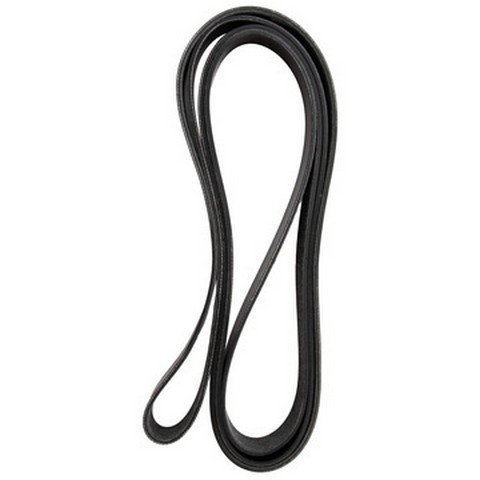 Dayco Serpentine Belt P/N:5081265