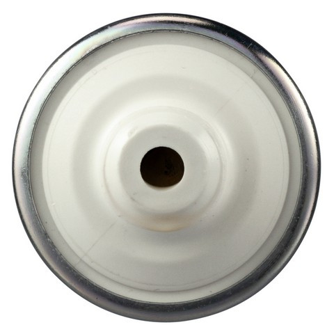 Delphi Electric Fuel Pump P/N:FD0010