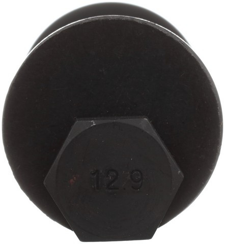 Delphi Alignment Cam Bolt Kit P/N:TAL10005