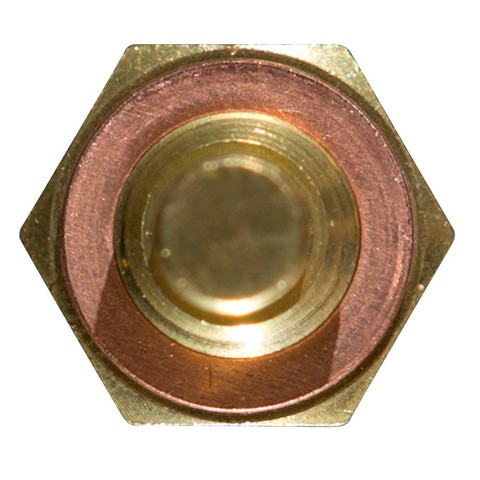 Delphi Engine Coolant Temperature Sensor P/N:TS10250