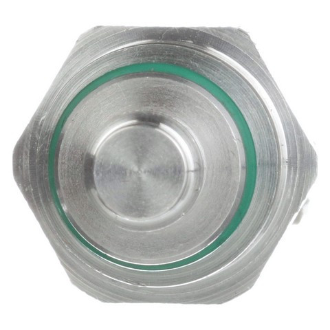 Delphi Engine Coolant Temperature Sensor P/N:TS10574