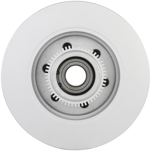 Bosch Disc Brake Rotor 20010347