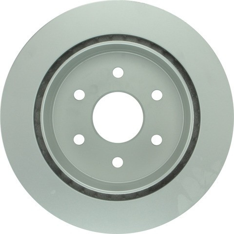 Bosch Disc Brake Rotor P/N:25010643