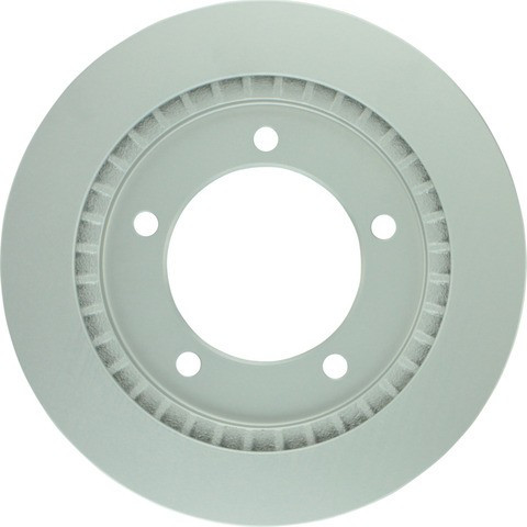 Bosch Disc Brake Rotor P/N:25010725