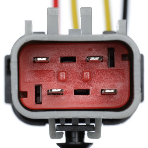 Delphi Fuel Pump Wiring Harness FA10021 - view 3