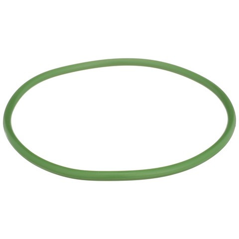 Delphi Fuel Pump Tank Seal FA10029