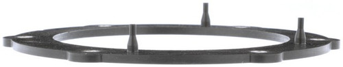 Delphi Fuel Pump Tank Seal P/N:FA10030