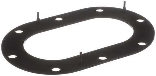Delphi Fuel Pump Tank Seal P/N:FA10033