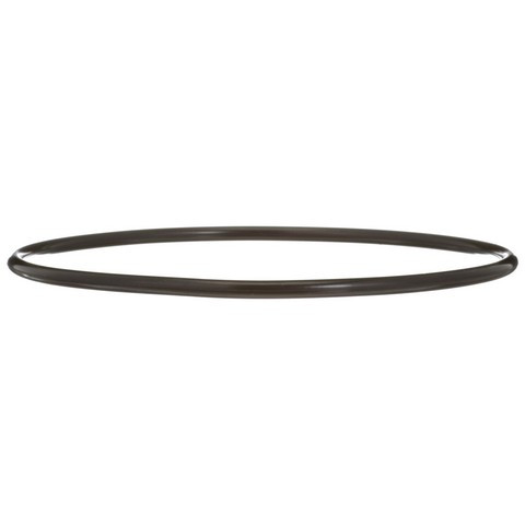 Delphi Fuel Pump Tank Seal P/N:FA10036