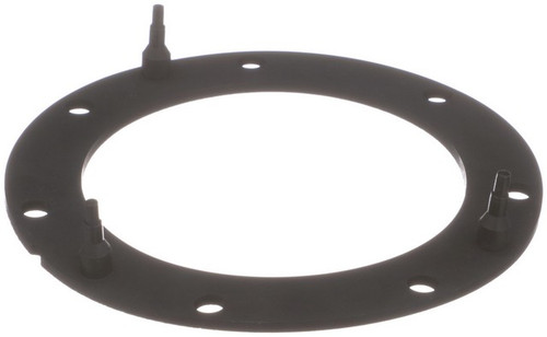 Delphi Fuel Pump Tank Seal P/N:FA10038