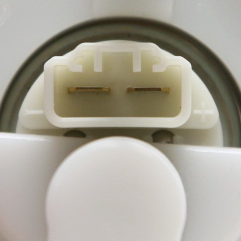 Delphi Fuel Pump and Strainer Set P/N:FG0504