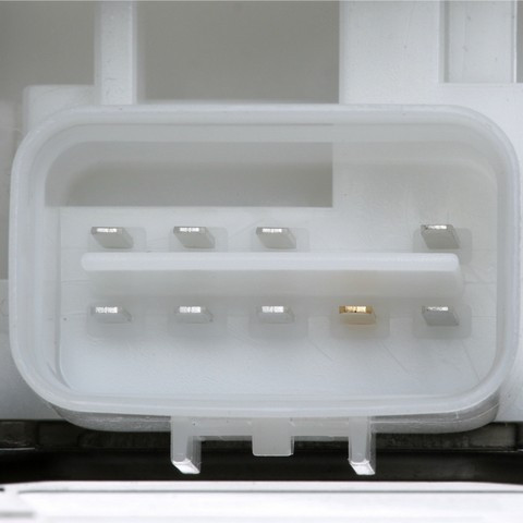 Delphi Fuel Pump Module Assembly P/N:FG2113