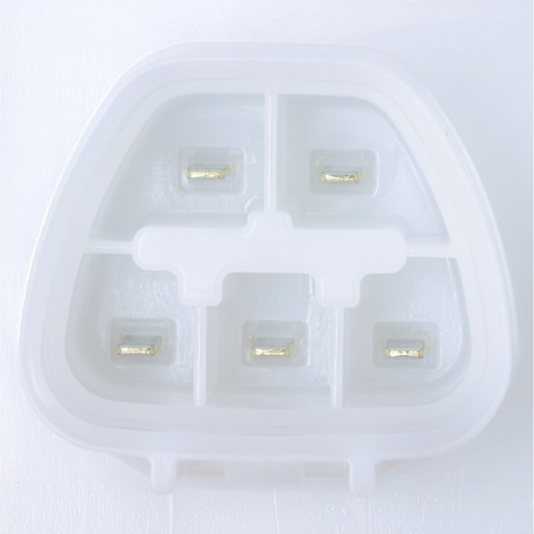 Delphi Fuel Pump Module Assembly P/N:FG2129