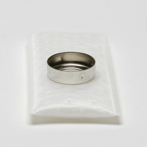 Delphi Fuel Pump Strainer P/N:FS0105