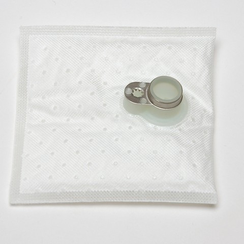 Fuel Pump Strainer Delphi FS0152