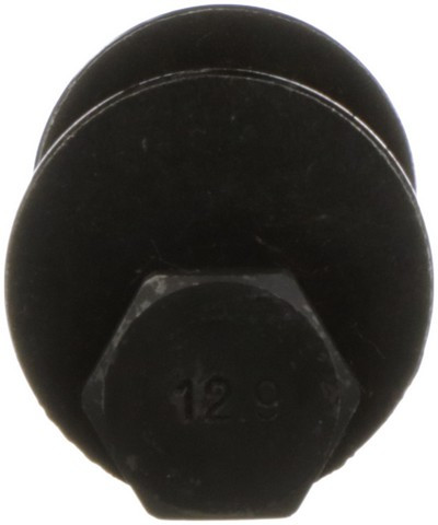 Delphi Alignment Cam Bolt Kit TAL10028 - view 7